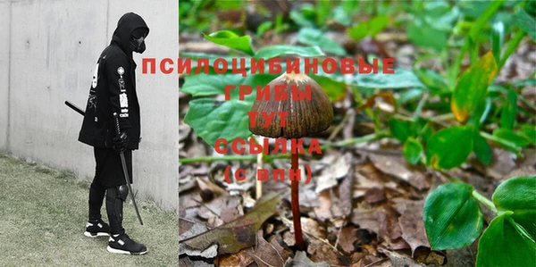 скорость Горно-Алтайск