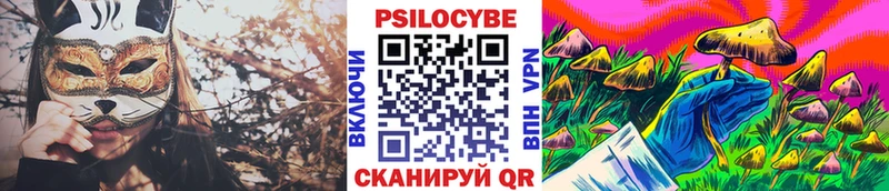 Псилоцибиновые грибы Psilocybe  дарнет шоп  Кингисепп 